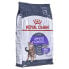 Фото #1 товара ROYAL CANIN Care Apetite Control 10kg Cat Food