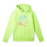 Фото #1 товара O´NEILL Circle Surfer hoodie