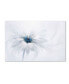 Фото #1 товара Jacky Parker 'Serenity' Canvas Art - 19" x 12" x 2"