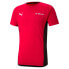 Фото #4 товара [758615-01] Mens Puma AC MILAN EVOSTRIPE TEE