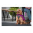 Фото #5 товара Пальто для собак Red Dingo Puffer Розовый/Фиолетовый 30 cm