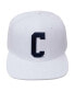 ფოტო #1 პროდუქტის Men's White Coppin State Eagles Primary Logo Evergreen Wool Snapback Hat