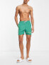 Santa Cruz mono splat swimshort in green with placement prints