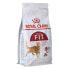 Фото #3 товара Корм для котов Royal Canin Regular Fit 32 Для взрослых Кукуруза птицы 400 g