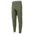 ALTURA Esker Trail pants