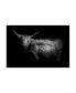 Фото #1 товара Картина на холсте Hello Highland Cow Trademark Global - 36.5" x 48"