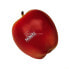 Фото #1 товара Meinl NINO596 Botany Shaker (Apple)