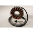 Фото #1 товара RICKs MOTORSPORT ELECTRIC OEM TGB 21-065 Stator