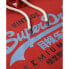 SUPERDRY Vl Duo hoodie