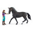 Фото #6 товара Игровая фигурка Schleich Horse C. Lisa & Storm Collectibles (Лошадь Лиза и Шторм Коллекционное).