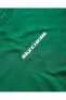 Фото #39 товара Футболка большого размера Skechers M Graphic Tee S232404- Мужская футболка Зеленая
