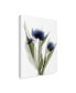 Фото #2 товара Judy Stalus Xray Tulip IX Canvas Art - 15" x 20"