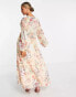 ASOS DESIGN plunge neck all over floral embroidered maxi dress