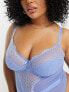 Фото #3 товара Ivory Rose Curve B-G lace mesh bodysuit in blue