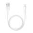 Apple Lightning to USB Cable 0.5m - фото #1