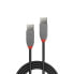 Lindy 0.2m USB 2.0 Type A Cable - Anthra Line - 0.2 m - USB A - USB A - USB 2.0 - 480 Mbit/s - Black