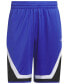 ფოტო #8 პროდუქტის Men's Pro Block Loose-Fit Basketball Shorts