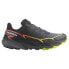 Фото #1 товара SALOMON Thundercross trail running shoes