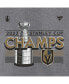 Фото #2 товара Men's Heather Gray Vegas Golden Knights 2023 Stanley Cup Champions Locker Room Big and Tall T-shirt