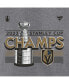 Men's Heather Gray Vegas Golden Knights 2023 Stanley Cup Champions Locker Room Big and Tall T-shirt