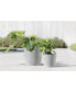 Фото #1 товара Eco pots Amsterdam Modern Round Planter with Water Reservoir, 8in