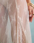 Фото #3 товара Miss Selfridge jersey sheer lace godet maxi skirt in cream