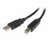 Фото #1 товара Кабель USB A — USB B Startech USB2HAB1M Чёрный