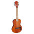 Фото #1 товара J & D Electric Solid Body Ukulele Mahogany, Natural