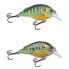 LIVE TARGET Pumpkinseed Flat-Side Squarebill Floating crankbait 14g 70 mm