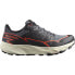 Фото #1 товара SALOMON Thundercross Goretex trail running shoes