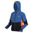 Фото #5 товара Толстовка Regatta Dissolver VIII Fleece