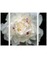 Kurt Shaffer 'Perfect Peony' Multi Panel Art Set Large - 25" x 30" x 2"