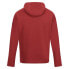 Фото #3 товара REGATTA Kassian hoodie fleece