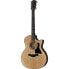 Фото #1 товара Taylor 314ce Special Edition