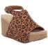 Фото #3 товара Volatile Division Leopard Wedge Womens Brown Casual Sandals PV124-243