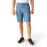 REGATTA Aldan shorts