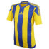 Фото #1 товара Adidas Striped 15 M S16142 football jersey