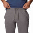 Фото #4 товара COLUMBIA Logo™ Jogger II Pants
