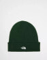 Фото #2 товара The North Face Norm beanie in pine green