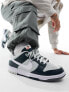 Nike Dunk Low trainers in grey and black