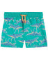 Фото #3 товара Toddler Dinosaur Swim Trunks 2T