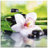 Glasbild Spa Steine Bambus Orchidee