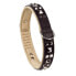 ფოტო #2 პროდუქტის FERPLAST Giotto 30 mm 58 cm Dog Collar