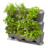 Фото #2 товара Gardena NatureUp! - Box planter - Wall-mounted - Plastic - Grey - Rectangle - Outdoor