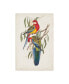 Фото #1 товара John Gould Tropical Parrots IV Canvas Art - 37" x 49"