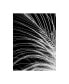 Фото #1 товара Incado White Feather Canvas Art - 36.5" x 48"