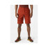 Фото #4 товара Спортивные шорты Helly Hansen Move Qd Shorts 2.0 53977 308