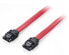 Фото #3 товара Equip SATA III Cable - 0.5m - 0.5 m - SATA III - SATA 7-pin - SATA 7-pin - Male/Male - Red
