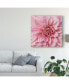 Alonzo Saunders Wall Flower VII Canvas Art - 20" x 25"