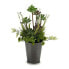 Фото #1 товара Декоративное растение 8430852222145 Серый Зеленый Пластик 20 x 41 x 20 cm